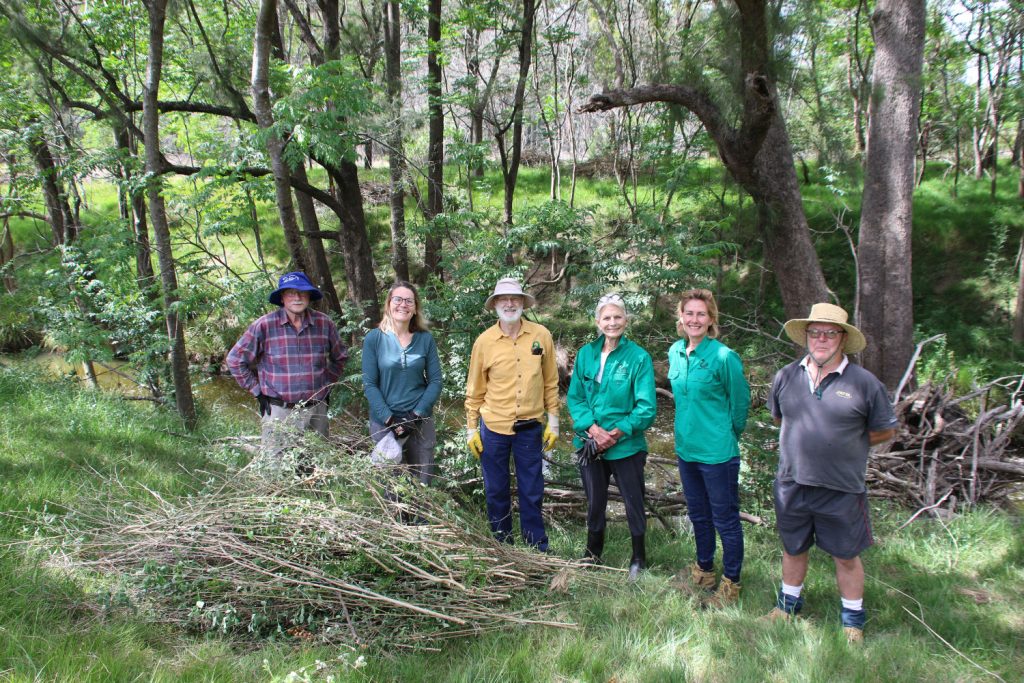 Environmental conservation volunteers working in Western Sydney bushland